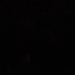 Meet your Posher, Kaylie